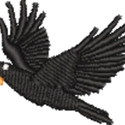 Nametape Insignia Thumbnail