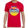 Adult Softstyle® T-Shirt Thumbnail