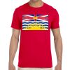 Adult Softstyle® T-Shirt Thumbnail