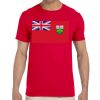 Adult Softstyle® T-Shirt Thumbnail