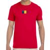 Adult Softstyle® T-Shirt Thumbnail