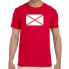 Adult Softstyle® T-Shirt Thumbnail