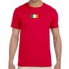 Adult Softstyle® T-Shirt Thumbnail