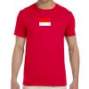 Adult Softstyle® T-Shirt Thumbnail