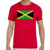 Adult Softstyle® T-Shirt Thumbnail