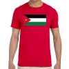 Adult Softstyle® T-Shirt Thumbnail
