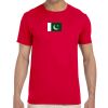 Adult Softstyle® T-Shirt Thumbnail