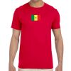 Adult Softstyle® T-Shirt Thumbnail