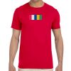 Adult Softstyle® T-Shirt Thumbnail