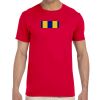 Adult Softstyle® T-Shirt Thumbnail