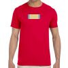 Adult Softstyle® T-Shirt Thumbnail