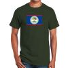 Adult Ultra Cotton® T-Shirt Thumbnail