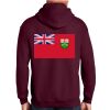 Adult Heavy Blend™ 50/50 Hooded Sweatshirt Thumbnail