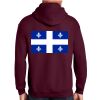 Adult Heavy Blend™ 50/50 Hooded Sweatshirt Thumbnail