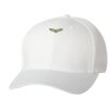 Wooly 6-Panel Cap Thumbnail