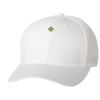 Wooly 6-Panel Cap Thumbnail