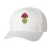 Wooly 6-Panel Cap Thumbnail