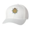 Wooly 6-Panel Cap Thumbnail