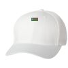 Wooly 6-Panel Cap Thumbnail