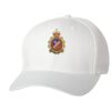 Wooly 6-Panel Cap Thumbnail