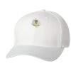 Wooly 6-Panel Cap Thumbnail