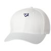 Wooly 6-Panel Cap Thumbnail