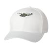 Wooly 6-Panel Cap Thumbnail