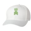 Wooly 6-Panel Cap Thumbnail