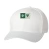 Wooly 6-Panel Cap Thumbnail