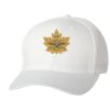 Wooly 6-Panel Cap Thumbnail