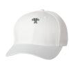 Wooly 6-Panel Cap Thumbnail