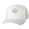 Wooly 6-Panel Cap Thumbnail