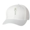 Wooly 6-Panel Cap Thumbnail