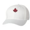Wooly 6-Panel Cap Thumbnail