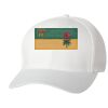 Wooly 6-Panel Cap Thumbnail