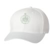 Wooly 6-Panel Cap Thumbnail