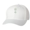 Wooly 6-Panel Cap Thumbnail