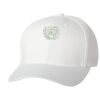 Wooly 6-Panel Cap Thumbnail