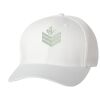 Wooly 6-Panel Cap Thumbnail