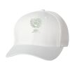 Wooly 6-Panel Cap Thumbnail