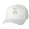 Wooly 6-Panel Cap Thumbnail