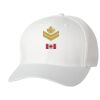 Wooly 6-Panel Cap Thumbnail