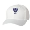 Wooly 6-Panel Cap Thumbnail