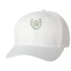 Wooly 6-Panel Cap Thumbnail