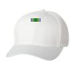 Wooly 6-Panel Cap Thumbnail