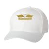 Wooly 6-Panel Cap Thumbnail