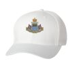 Wooly 6-Panel Cap Thumbnail