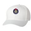 Wooly 6-Panel Cap Thumbnail