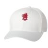 Wooly 6-Panel Cap Thumbnail
