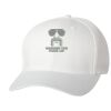 Wooly 6-Panel Cap Thumbnail